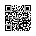 41080-1408-FF DISC，FR，GRAY+SILVER