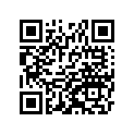 41080-1441-FB デイスク，FR，グレイ