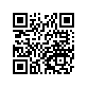 410800028 