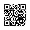 41080015011H 