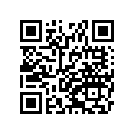 41080059811H 