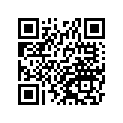 410801155 