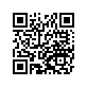 41080121311H 