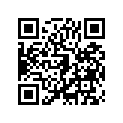 410801395FB Disc, Rr, C.gray