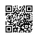 41090-0033-10Y ホイール，RR，1.85X19，AL ニツプル，ゴールト