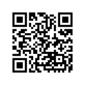 41090-0034-10Y ホイール，RR，2.15X19，AL ニツプル，ゴールト