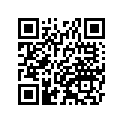41090-0038-10Y ホイール，RR，2.15X19，AL ニツプル，ゴールド