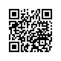 41090-0039-10Y ホイール，FR，1.60X21，アルミ，ゴールド