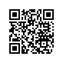 410922989 BOLT