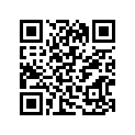 41100-02430-23W Frame (silver)