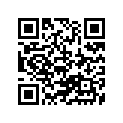 41100-034A0-019 Frame (black)