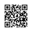 41100-03B80-YU8 Frame (gray)