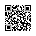 41100-03G21-019 Frame (black) (