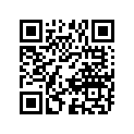 41100-05250-163 