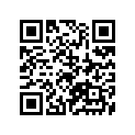 41100-05361-019 Frame (black)