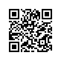 41100-053G1-019 