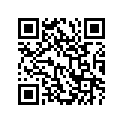 41100-10F20-019 Frame (black)