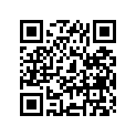 41100-11002-019 
