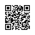 41100-13601-019 Frame (black)