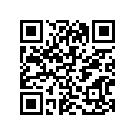 41100-13603-019 Frame (black)
