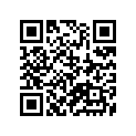 41100-13624-019 Frame (black)