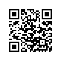 41100-13G51-019 