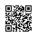 41100-17H11-019 