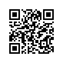 41100-20401-019 