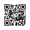 41100-23462-000 Frame