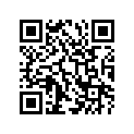41100-24300-019 