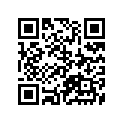 41100-24451-019 