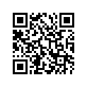 41100-24833-019 