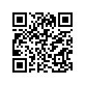 41100-27001-019 