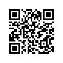 41100-27104-019 