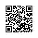 41100-28100-019 