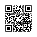 41100-28701-019 