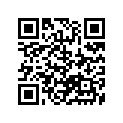 41100-28H30 FRAME