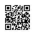 41100-29304-019 