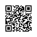41100-29701-019 