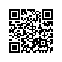 41100-32402-019 