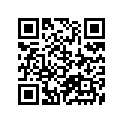 41100-32501-019 
