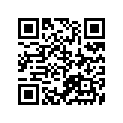41100-33002-019 