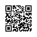 41100-33101-019 