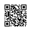 41100-33B00-23W Frame (silver)