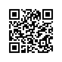 41100-38211-019 