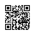 41100-41D02-28C Frame (gray)