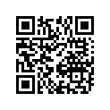 41100-41D04-YAY Frame