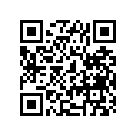 41100-45300-019 