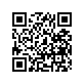 41100-46910-019 