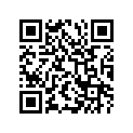 41100-487A0-24K FRAME(CHARCOAL)